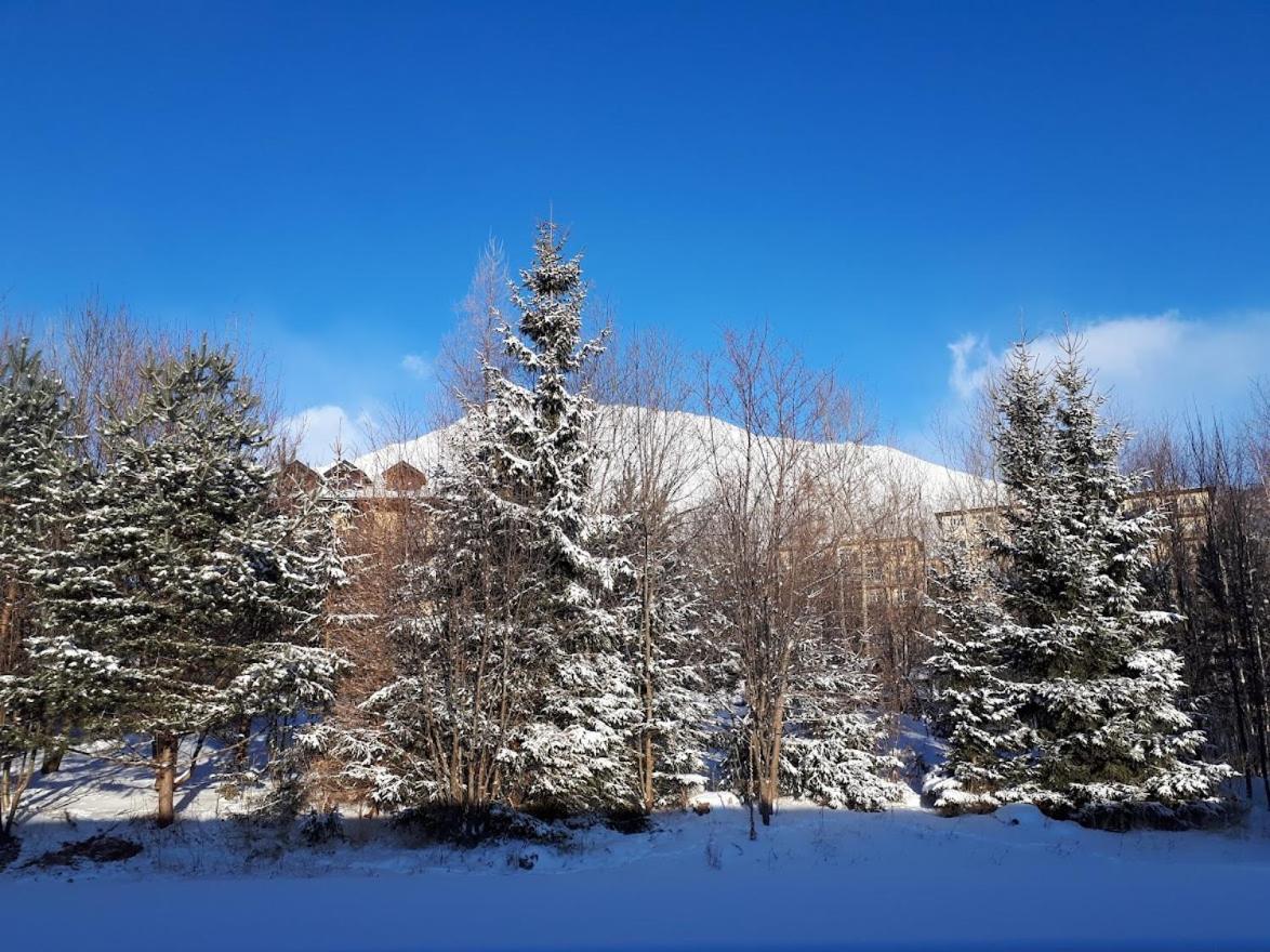 Apartman Mariana Vysoke Tatry Exterior photo
