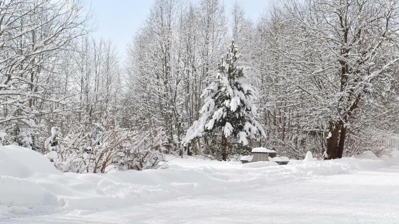 Apartman Mariana Vysoke Tatry Exterior photo